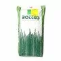Trébol enano - 25 kg de semillas para césped