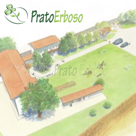 Irrigation project for lawns up to 2000 m2 - Prato Erboso