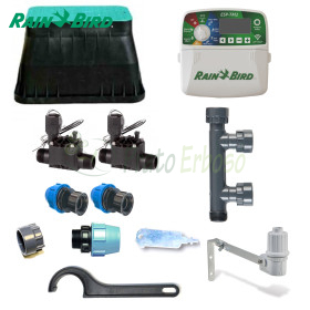 KI-RB-2Z24I - Rain Bird 2-zone 24V irrigation kit