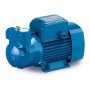 CKRm 90 - Single-phase liquid ring self-priming electric pump Pedrollo - 1