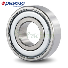 6305 - Ball bearing Pedrollo - 1