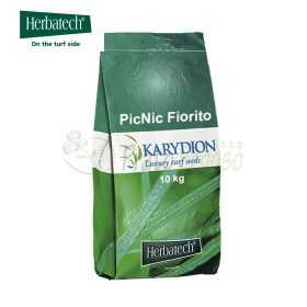 Picnic cu flori - 10 kg seminte de gazon