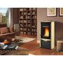 Duchessa Steel - 8.7 kw pellet stove parchment La Nordica Extraflame - 3