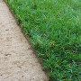 GreenZolla - Ecological real lawn litter Prato Erboso - 4
