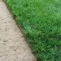 GreenZolla - Lettiera ecologica di prato vero Prato Erboso - 6