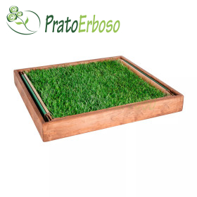 GreenZolla - Subscription to eco-friendly real grass litter Prato Erboso - 1