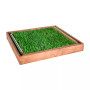 GreenZolla - Subscription to eco-friendly real grass litter Prato Erboso - 1