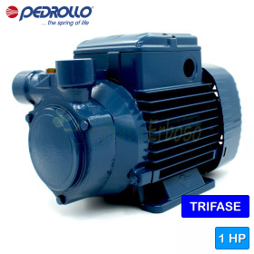 PQ 90 - 1 HP three-phase peripheral impeller electric pump Pedrollo - 1