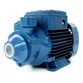 PKm 80 - Electric pump with single-phase peripheral impeller Pedrollo - 1