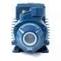 PKm 80 - 1 HP single-phase peripheral impeller electric pump