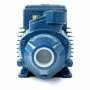 PKm 80 - Electrobomba con impulsor periférico monofásico de 1 HP Pedrollo - 3