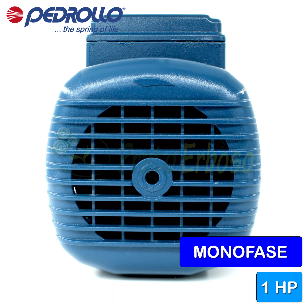 Elettropompa Periferica Monofase Hp 0,50 Kw 0,37 Mod Pkm 60 Pedrollo