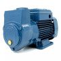 CKm 50 - 0.50 HP single-phase self-priming liquid ring electric pump