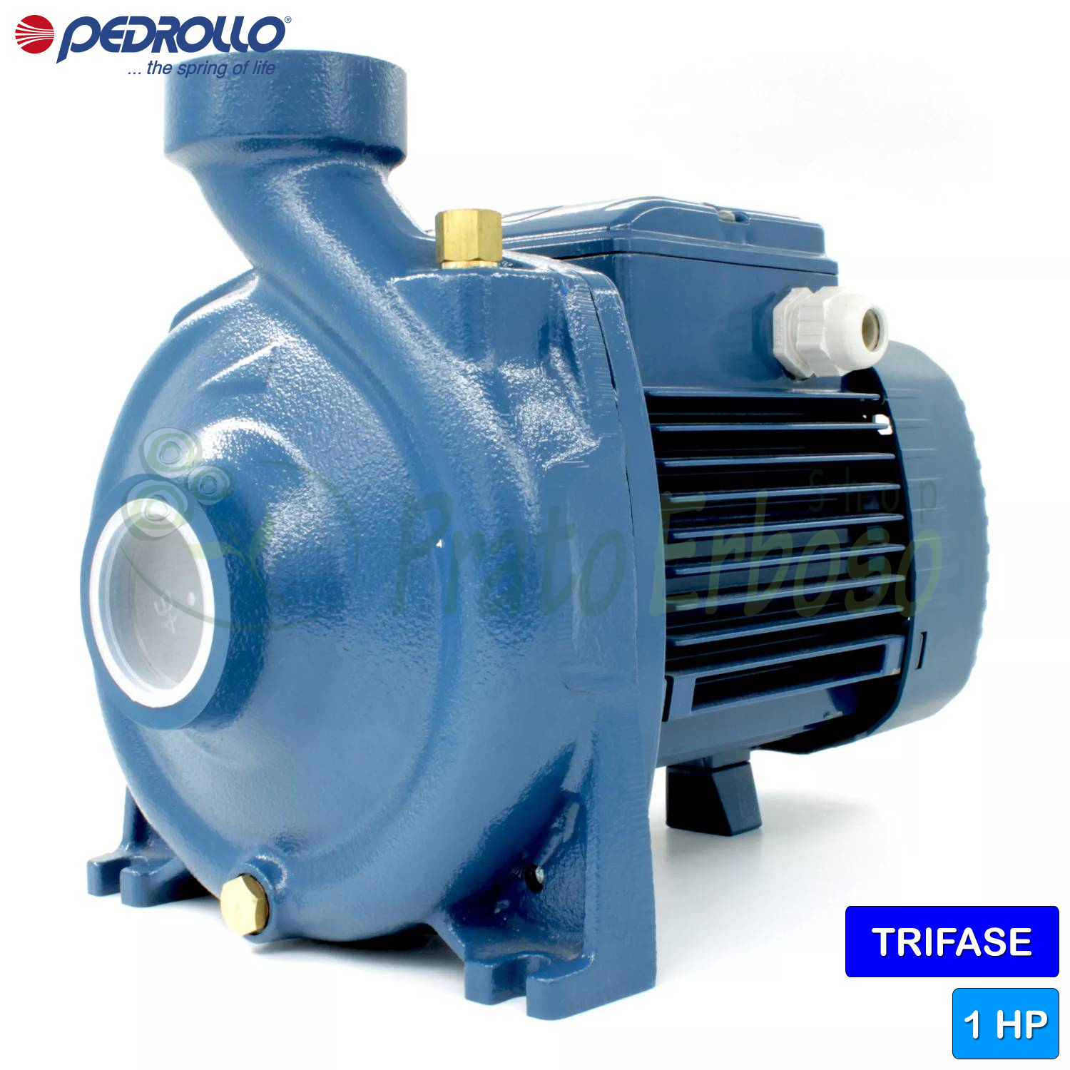 Pompe Centrifuge Calpeda NM 2/A/B - Triphasée - Embouts Filetés - Pour Espaces Réduits