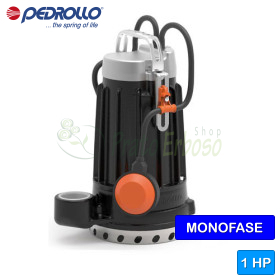 DCm 10 - Electrobomba monofásica de hierro fundido de 1 HP para agua limpia