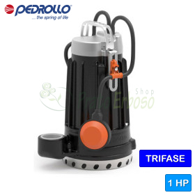 DC 20 - 1 CP electrica pompa trifazata fonta pentru apa curata Pedrollo - 1