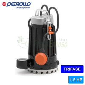 DC 30 - 1.5 HP three-phase cast iron electric pump for clear water Pedrollo - 1