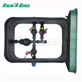 PA-DV-F3-9V - Puisard assemblé 1" 3 zones Rain Bird - 1