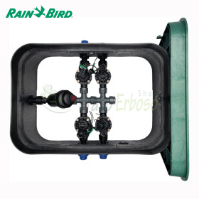 PA-HV-F4 - Puisard assemblé 1", 4 zones Rain Bird - 1