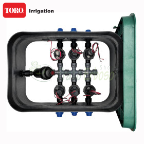 PA-EZP-F6-9V - 1" 6 zone bine asamblat