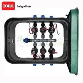 PA-EZP-6-9V - 1" 6 zone bine asamblat