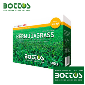 Mélange d'herbe des Bermudes - 500g de graines de pelouse Bottos - 1