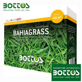 Bahiagrass - 500 g de semillas de césped Bottos - 1