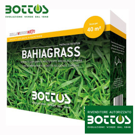 Bahiagrass - 500 g farë lëndinë Bahiagrass - 500 g farë lëndinë