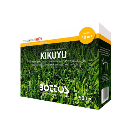 Kikuyu - 500 g semințe de gazon Bottos - 1