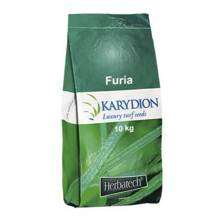 Furia - 10 kg farë lëndinë