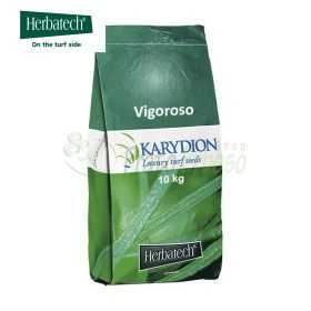 Vigoros - 10 kg Seminte de gazon