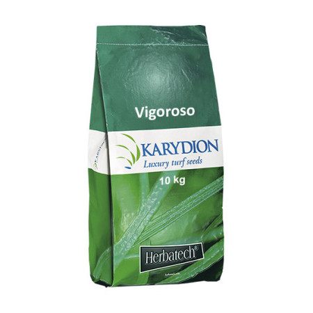 Vigorous - 10kg Lawn Seed