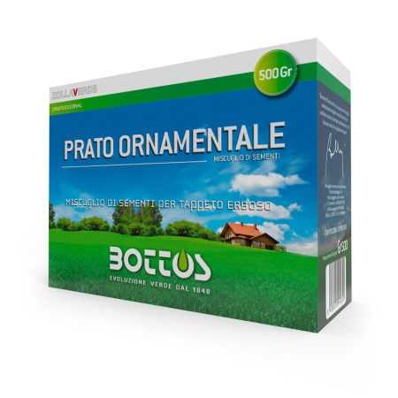 Gazon ornamental - 500 g semințe de gazon