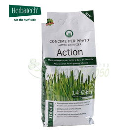 Acción - 4 kg de fertilizante para césped