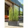 Millennium - Vaso a cassetta da 59 cm antracite