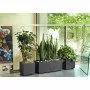 Millennium - Vaso a cassetta da 59 cm antracite