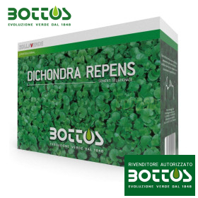 Dichondra Repens - 1 kg de semillas de césped Bottos - 1