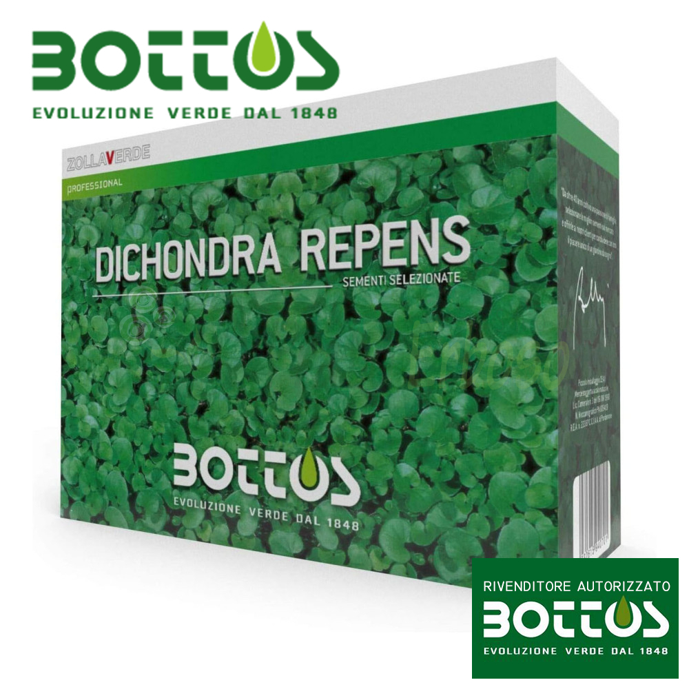 Semi Dichondra Repens 250 Gr - Per Prati Verdi, A Bassa Manutenzione, Con Tecnologia Confe Ttata - Foto 3