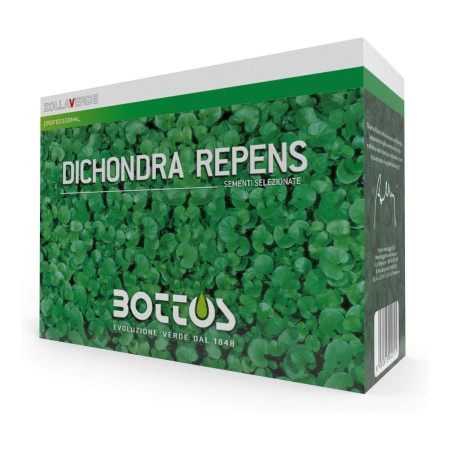 Dichondra Repens - 1 kg lawn seed