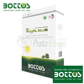 Bleu royal - Semences pour gazon 1 kg