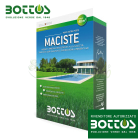 Maciste - 1 kg samanta de gazon