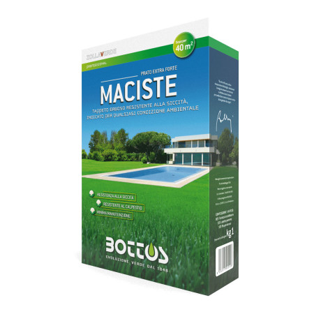 Maciste - 1 kg de semillas de césped Bottos - 1