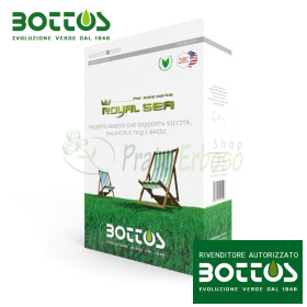 Royal Sea - Semences pour gazon 1 kg