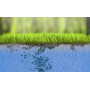 Water Plus - Tensioactif et agent mouillant pour pelouse de 1 litre Bottos - 2