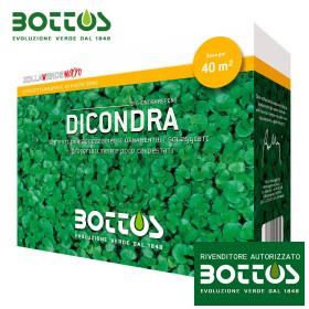 Dichondra Repens - 500 g de semillas de césped Bottos - 1