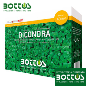 Dicondra - Semillas de césped 500g