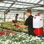 416 Li - Pompe à dos alimentée par batterie de 20 litres Solo - 3