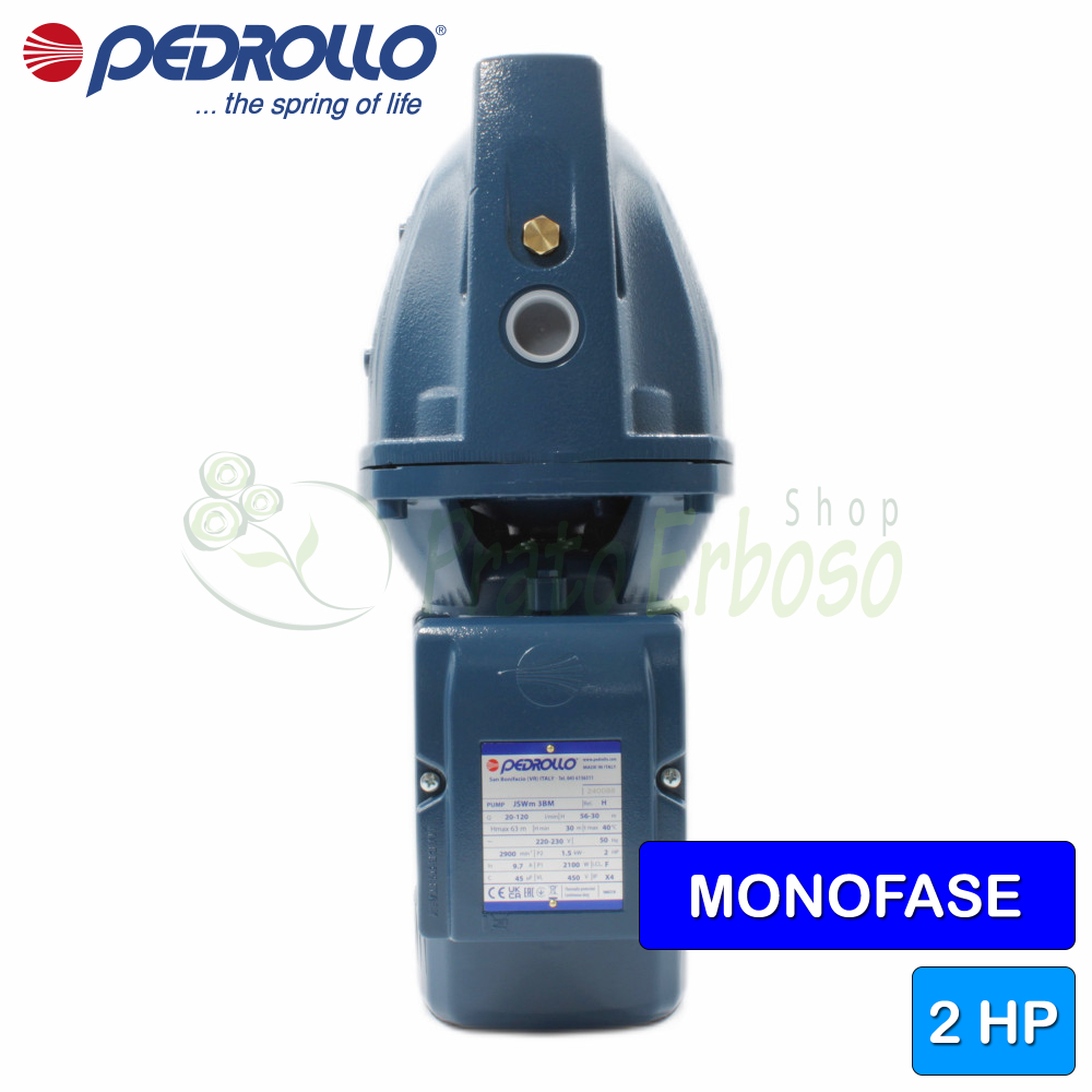 Pompa Autoadescante Pedrollo 2Hp - Per Acqua, Ideale Per Giardino E Casa - Foto 6