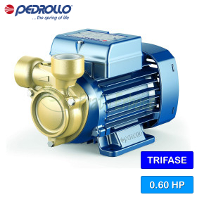 PQ 81-Bs - Electric pump with three-phase peripheral impeller Pedrollo - 1
