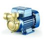 PQ 81-Bs - Pompă electrică cu rotor periferic trifazat Pedrollo - 1